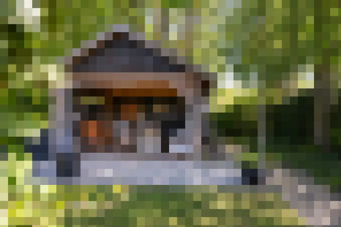 Trambaan 6 Ossendrecht thumbnail 4