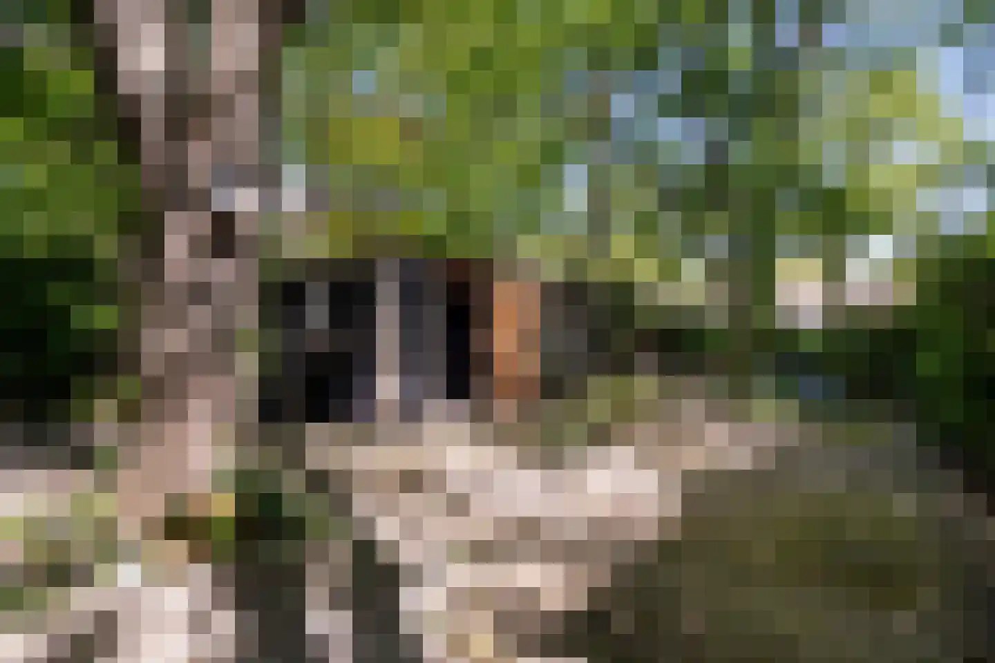 Trambaan 6 Ossendrecht thumbnail 40