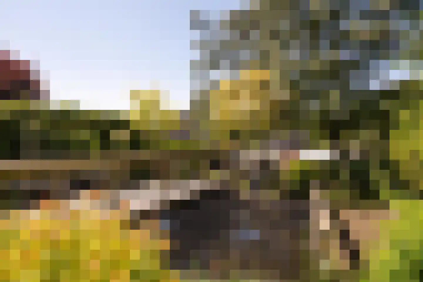Trambaan 6 Ossendrecht thumbnail 45