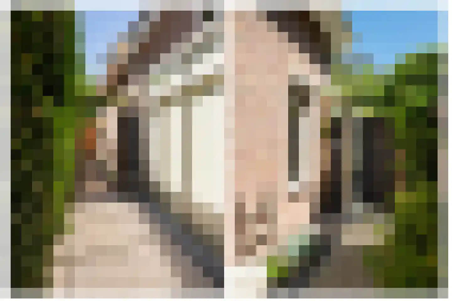 Trambaan 6 Ossendrecht thumbnail 47