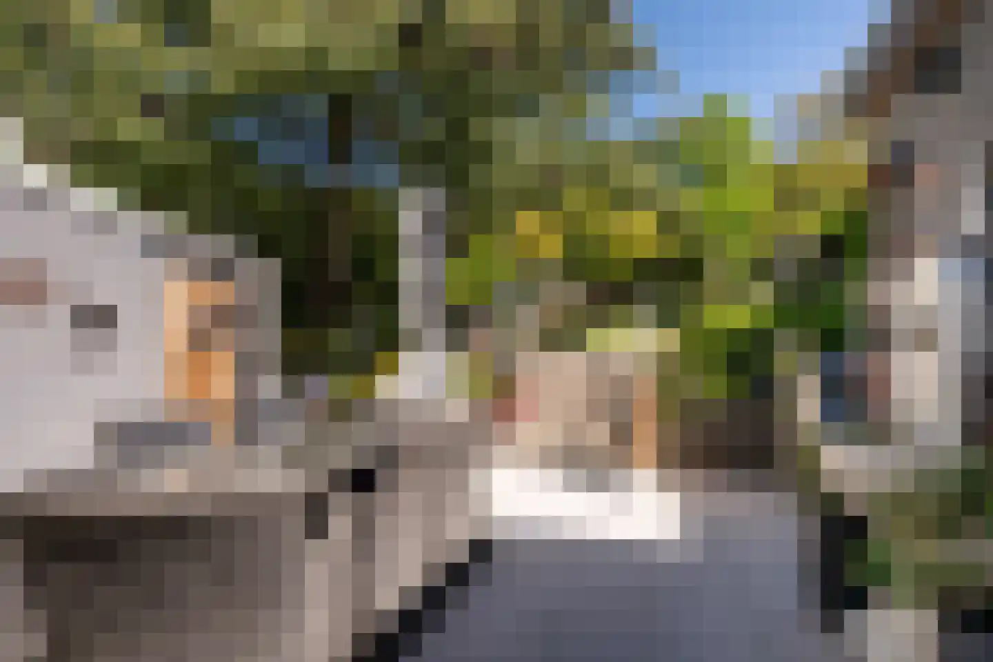 Trambaan 6 Ossendrecht thumbnail 5
