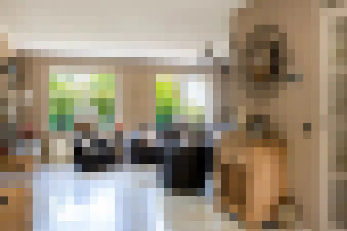 Trambaan 6 Ossendrecht thumbnail 6