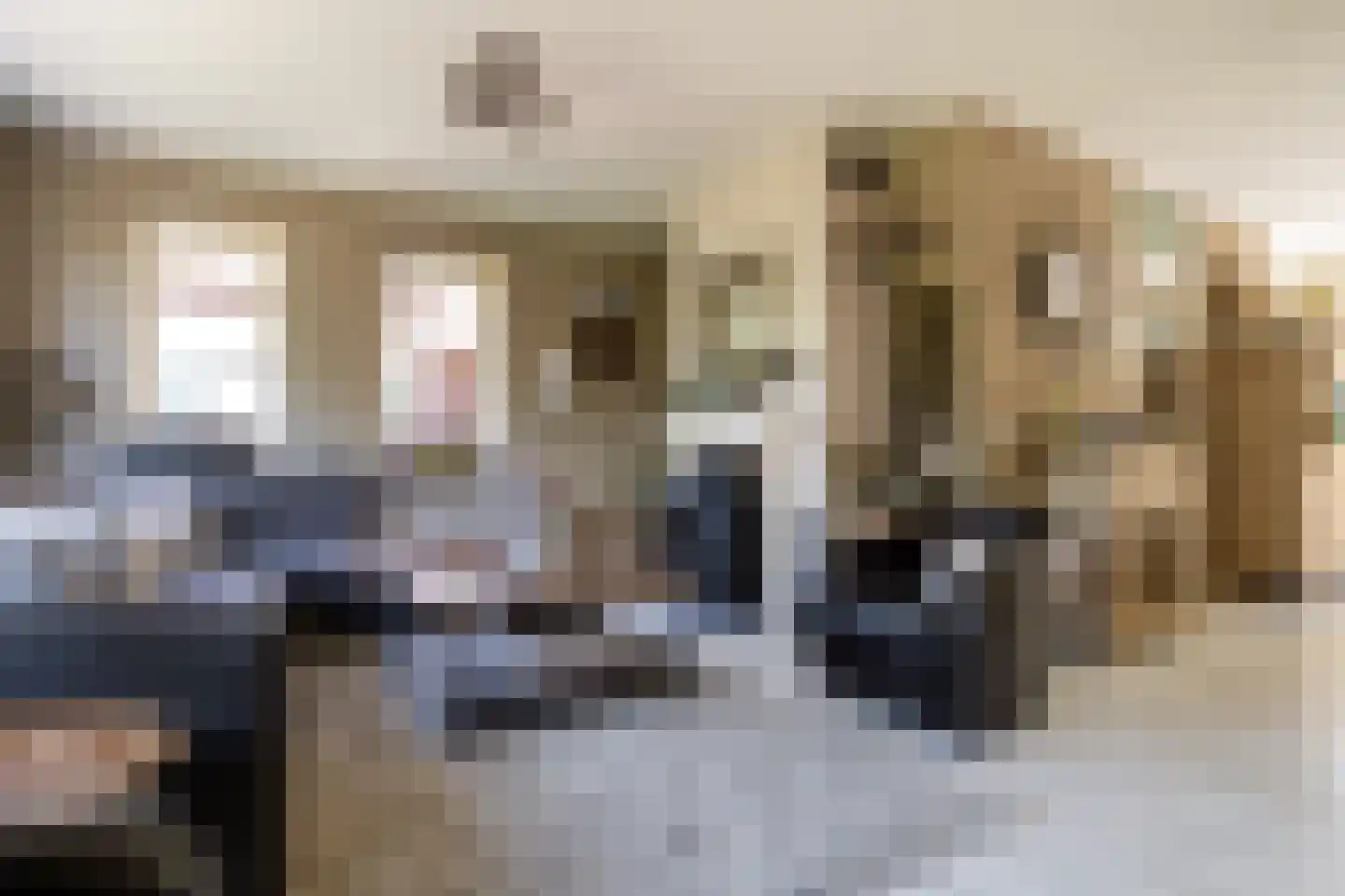 Trambaan 6 Ossendrecht thumbnail 8