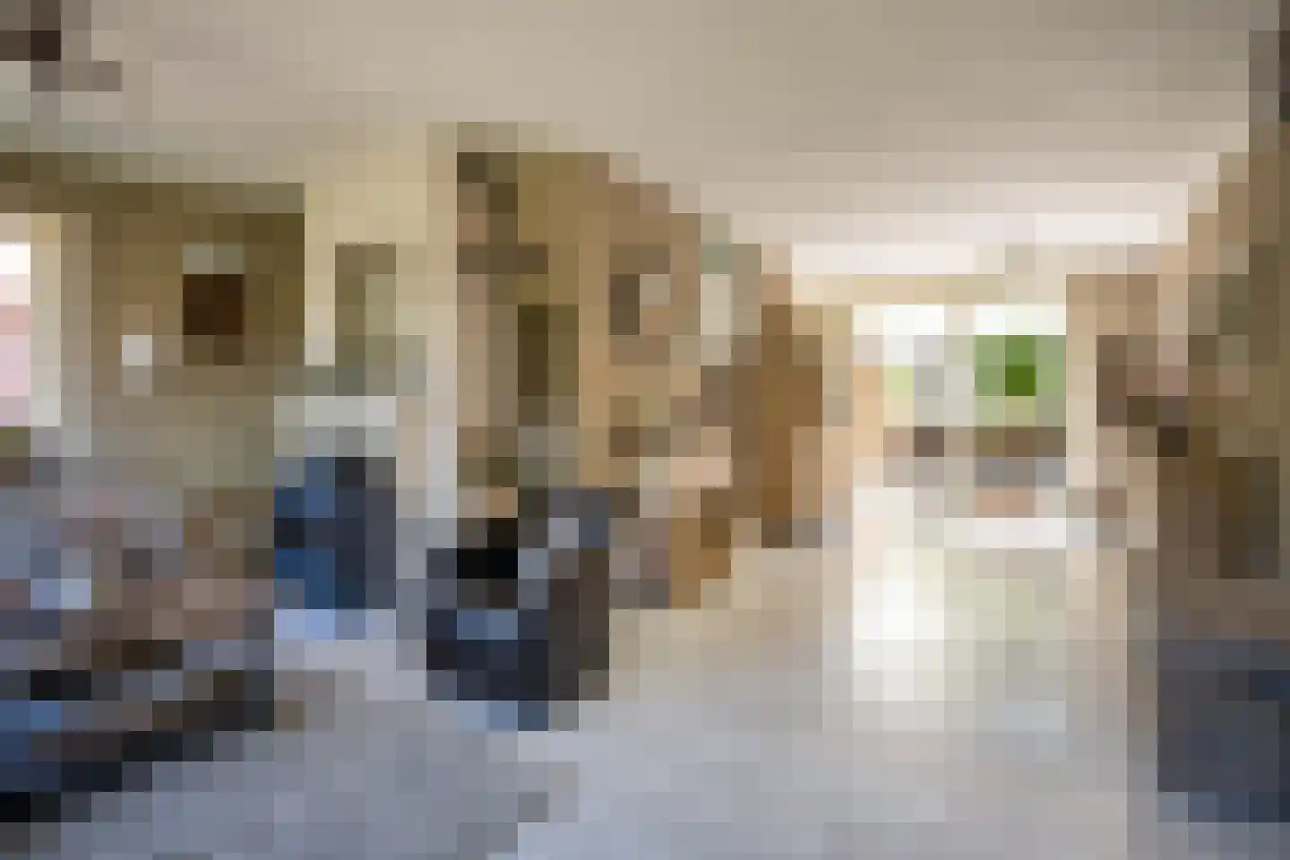 Trambaan 6 Ossendrecht thumbnail 9