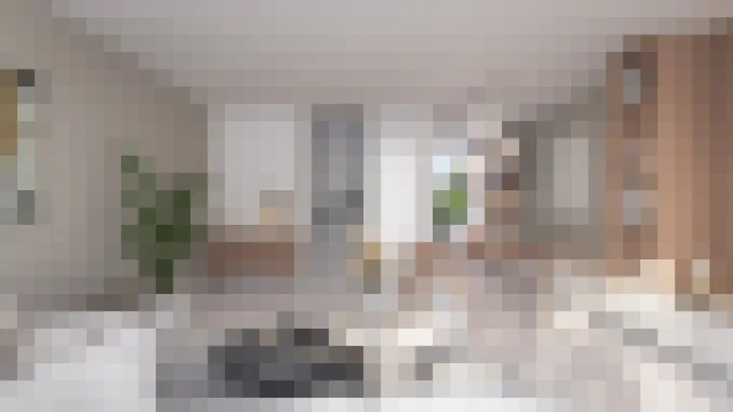 Trambaan Roden thumbnail 5