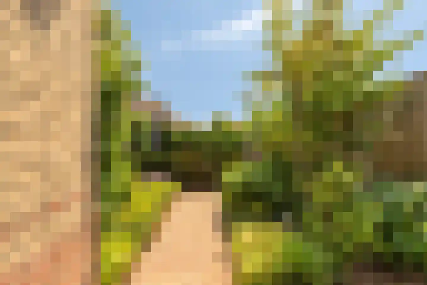 Trambaanlaan 7 Zuidland thumbnail 27