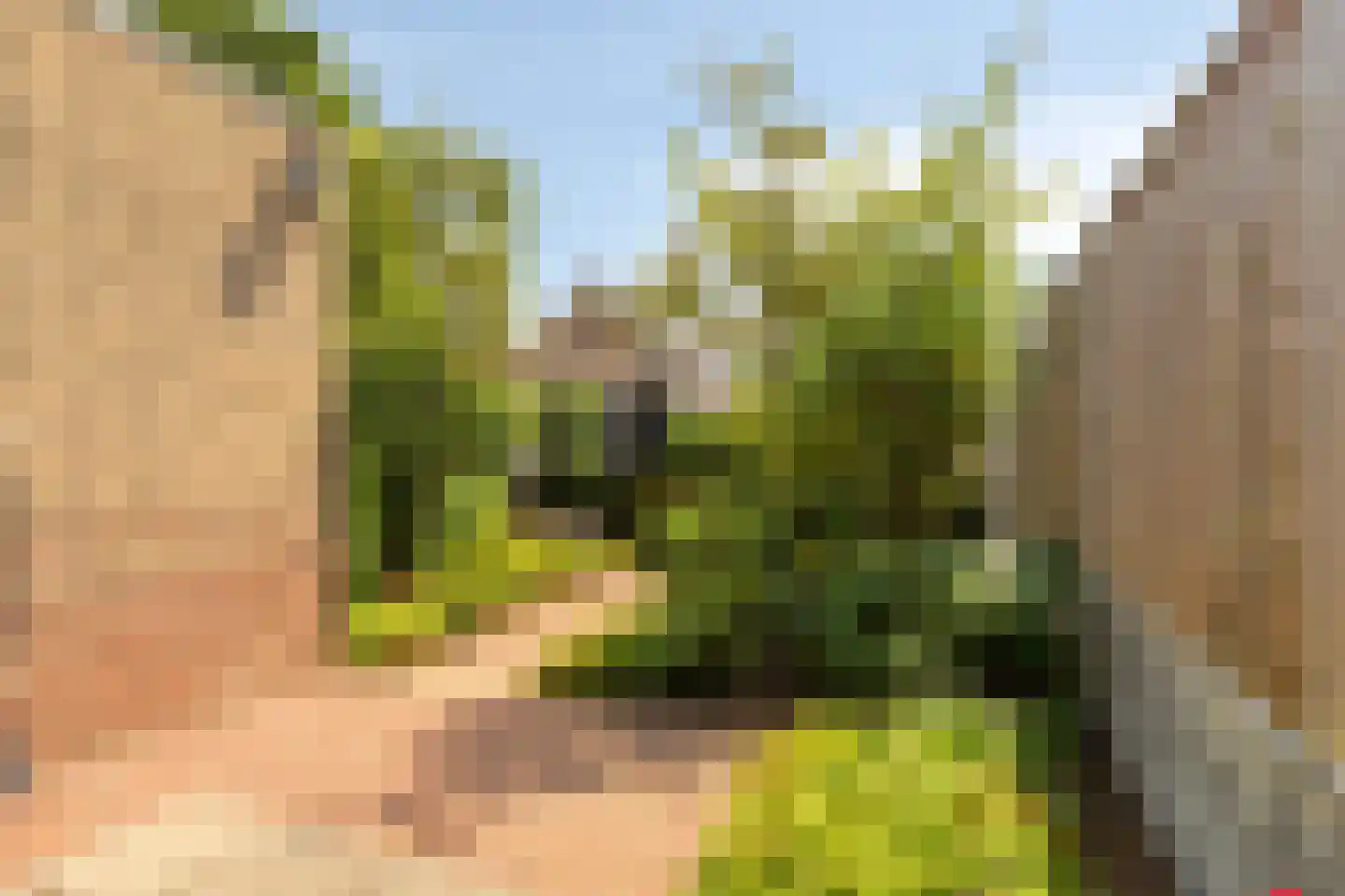 Trambaanlaan 7 Zuidland thumbnail 28