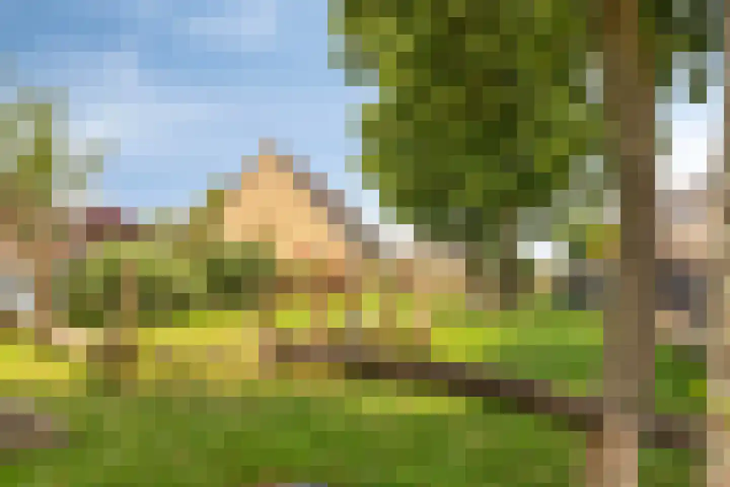 Trambaanlaan 7 Zuidland thumbnail 35