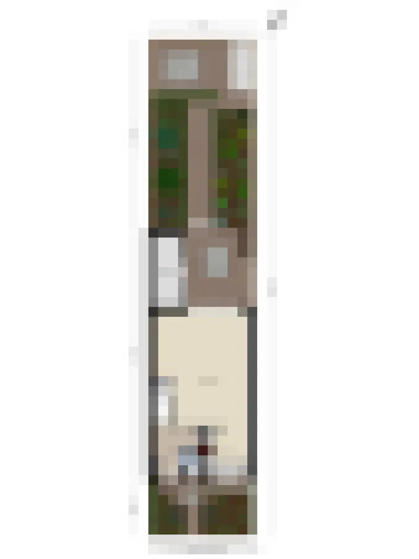Trambaanlaan 7 Zuidland thumbnail 37