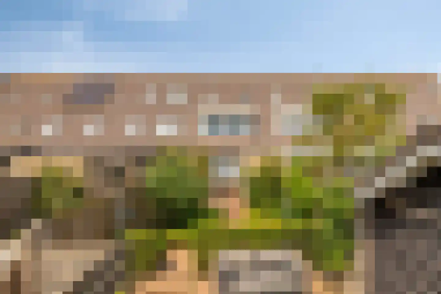 Trambaanlaan 7 Zuidland thumbnail 4