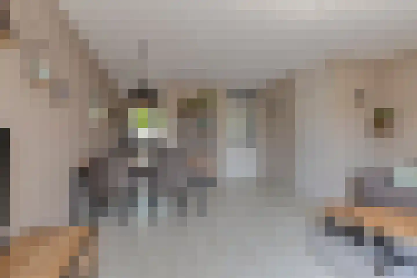 Trambaanlaan 7 Zuidland thumbnail 7