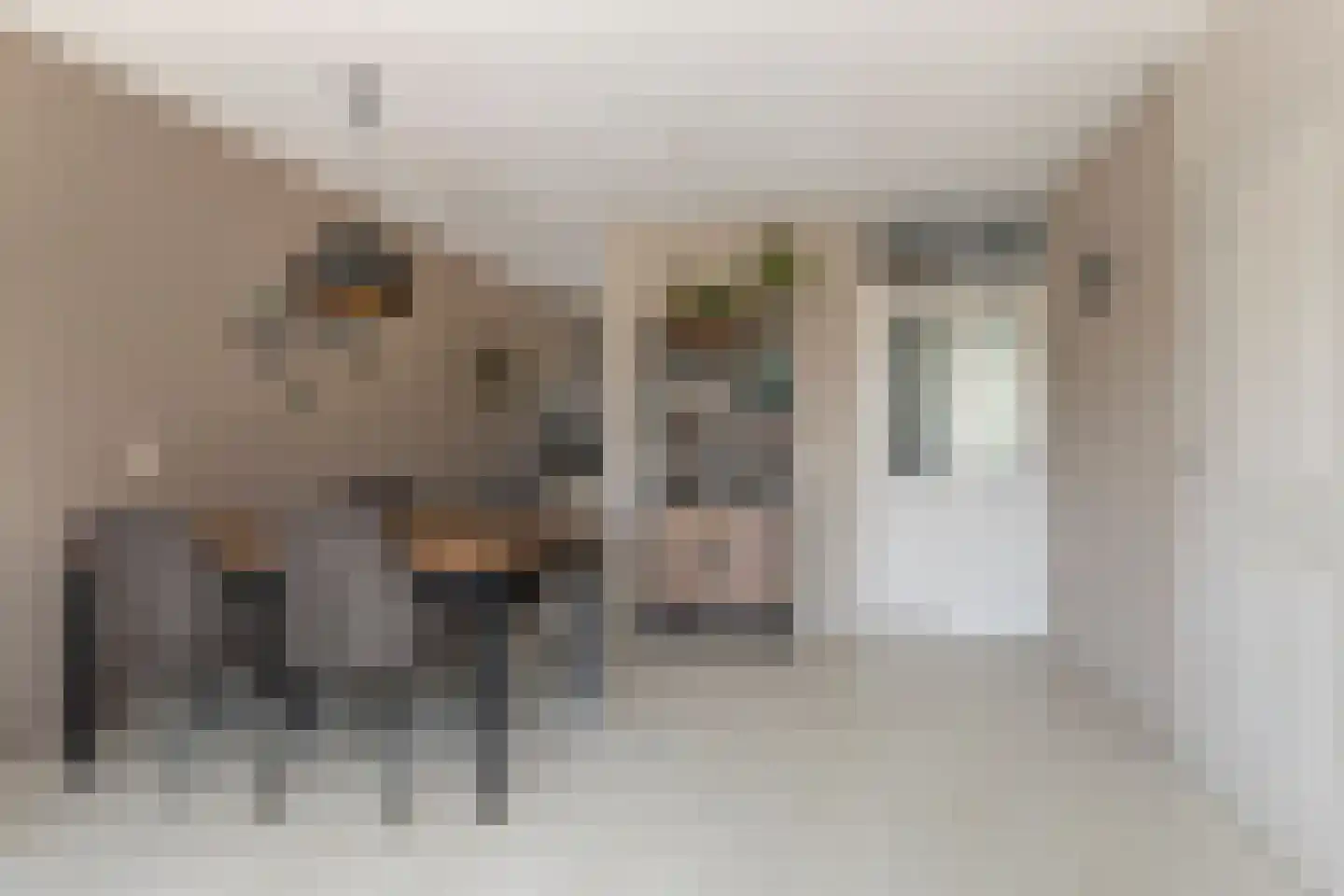 Trambaanlaan 7 Zuidland thumbnail 8