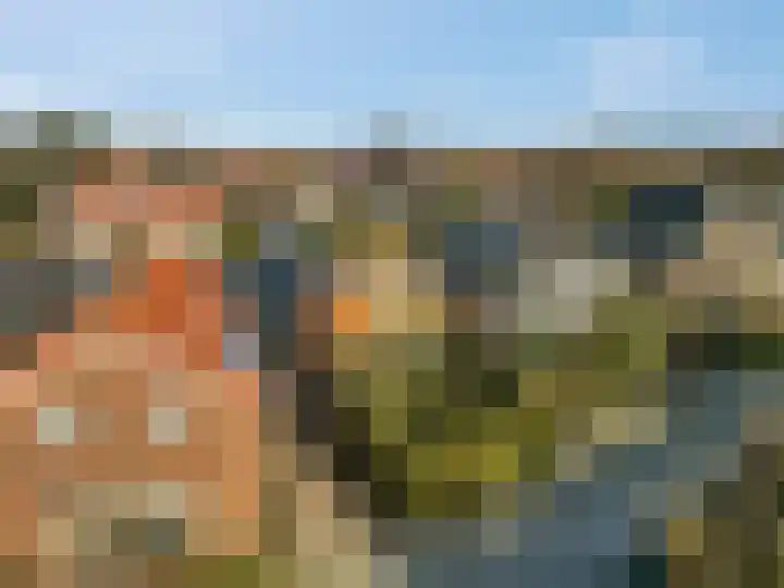 Trambaanweg 17 B Rhenen thumbnail 28