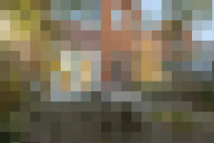 Trambaanweg 17 B Rhenen thumbnail 30