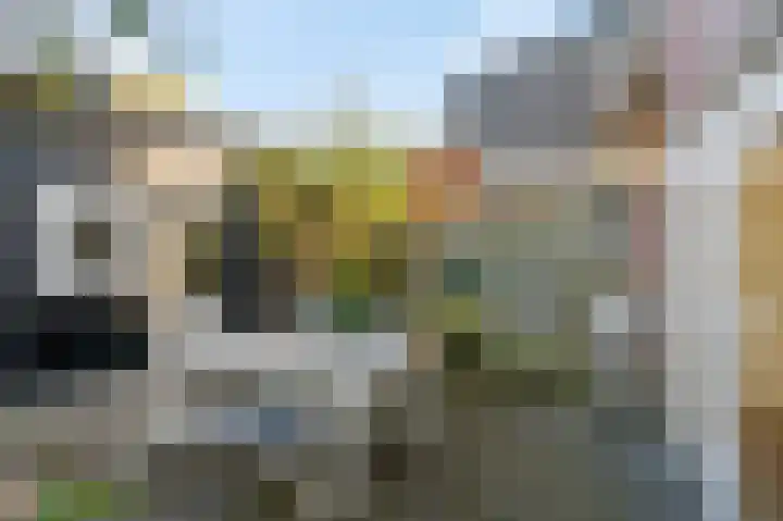 Trambaanweg 17 B Rhenen thumbnail 31