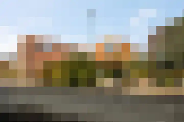 Trambaanweg 17 B Rhenen thumbnail 34
