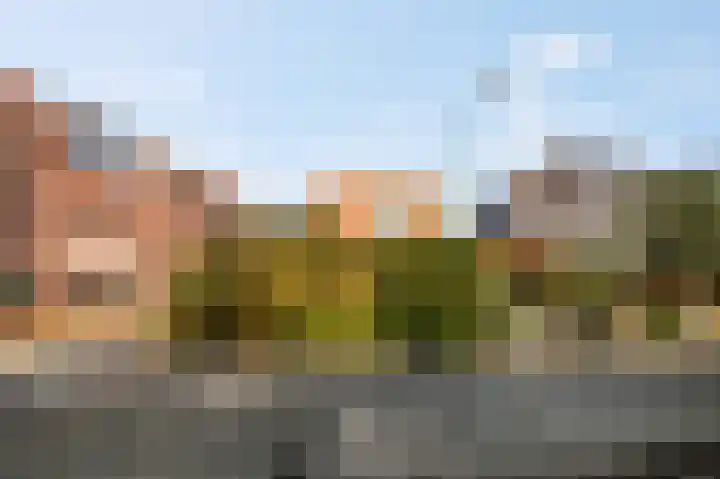 Trambaanweg 17 B Rhenen thumbnail 35