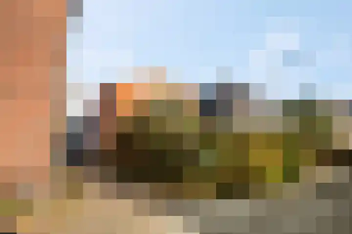 Trambaanweg 17 B Rhenen thumbnail 5