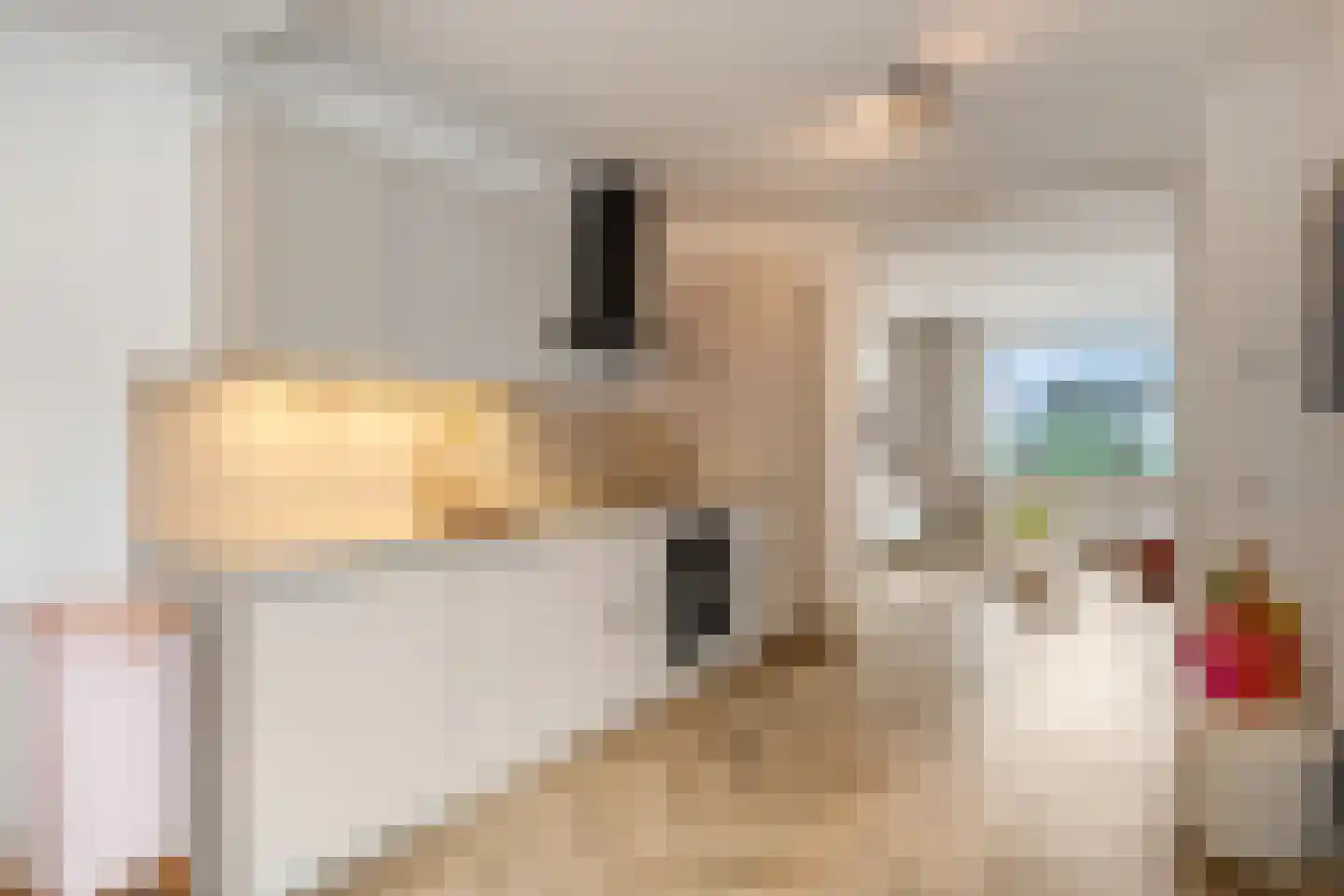 Trambaanweg 5 Rhenen thumbnail 10