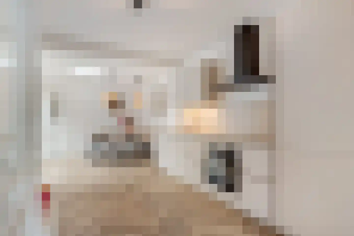 Trambaanweg 5 Rhenen thumbnail 11