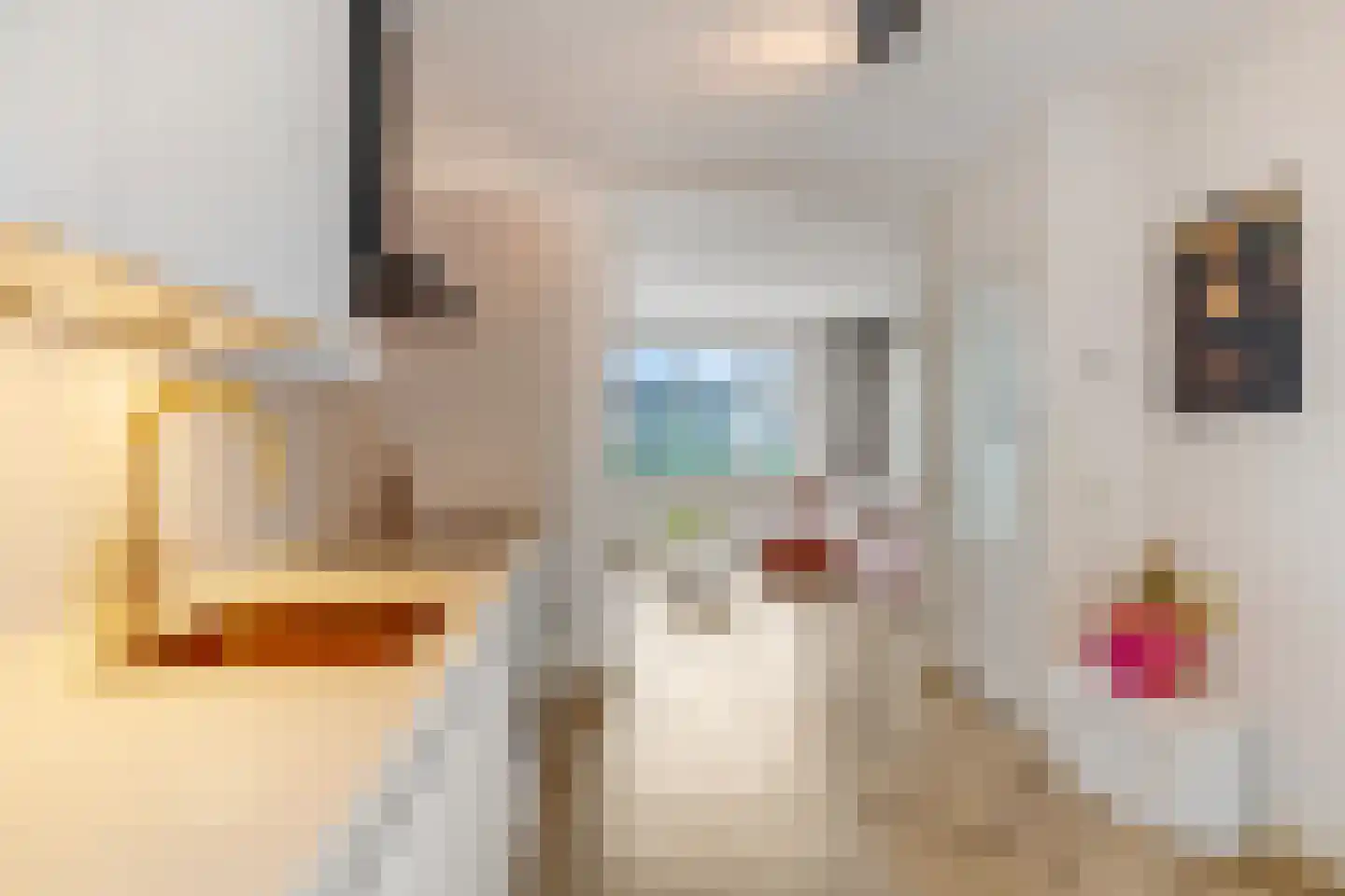 Trambaanweg 5 Rhenen thumbnail 12