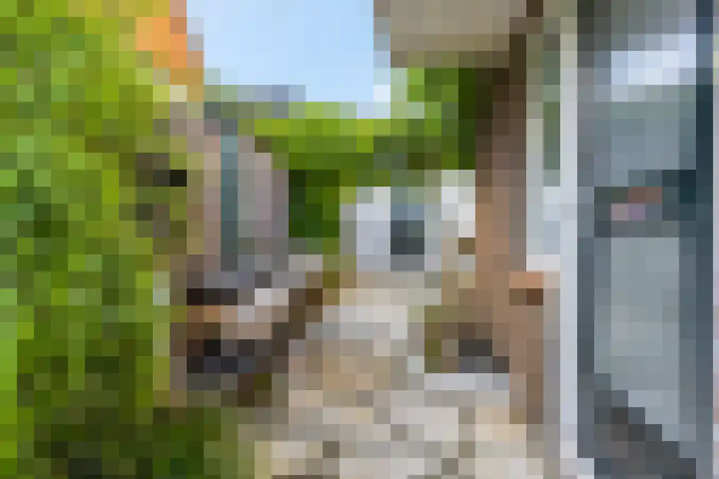 Trambaanweg 5 Rhenen thumbnail 25
