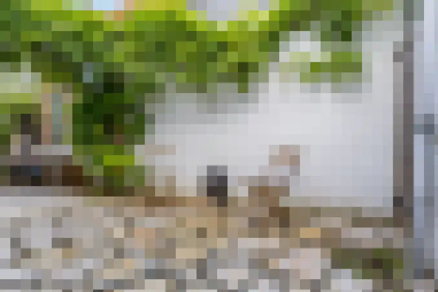 Trambaanweg 5 Rhenen thumbnail 27