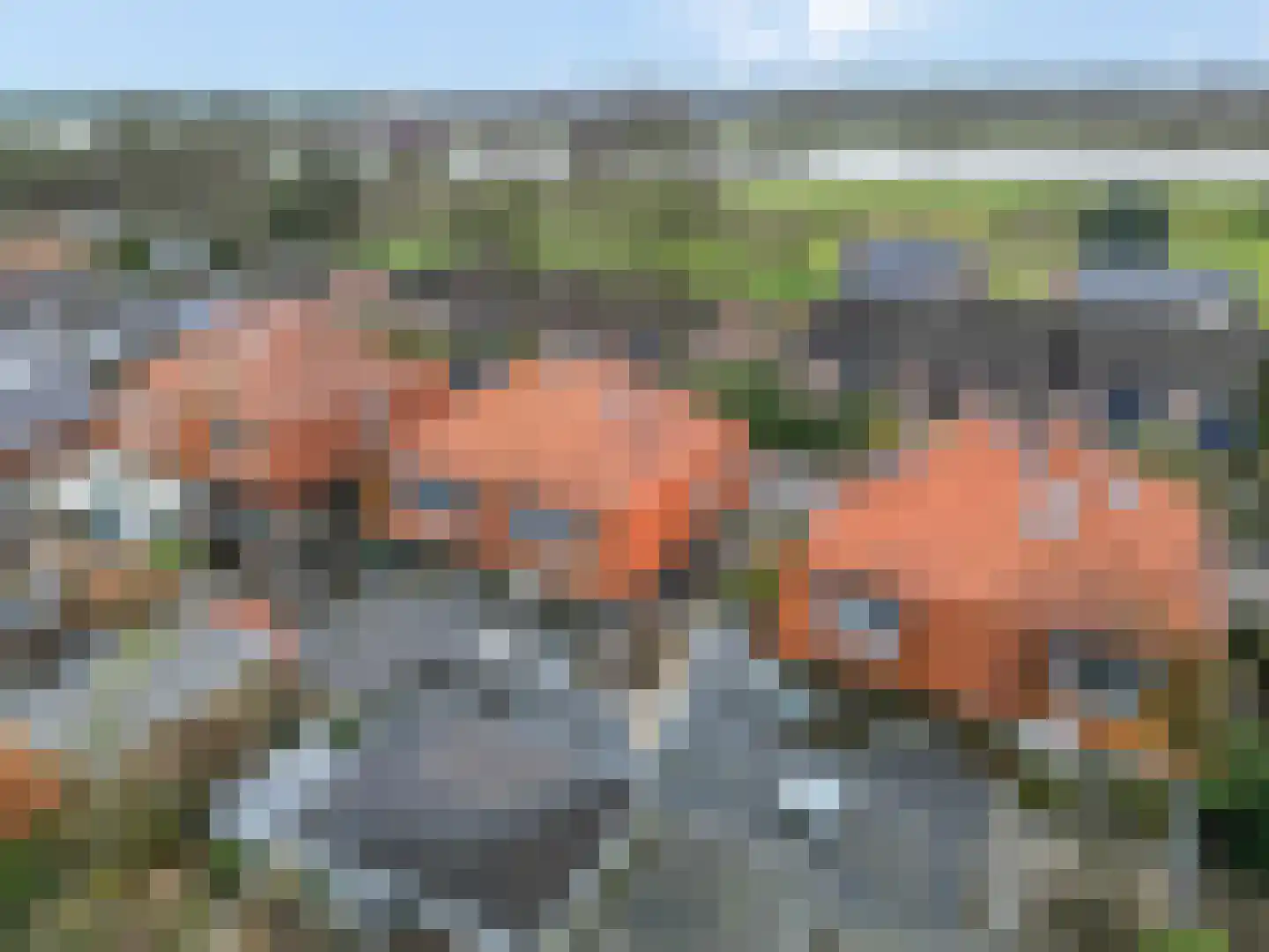 Trambaanweg 5 Rhenen thumbnail 30