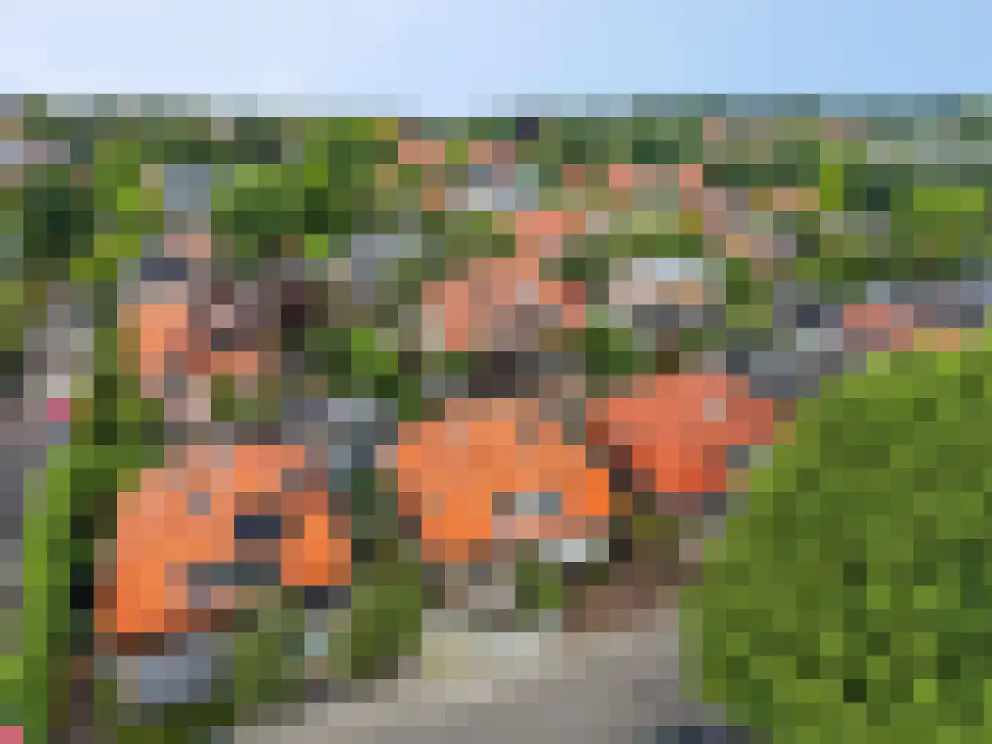 Trambaanweg 5 Rhenen thumbnail 32