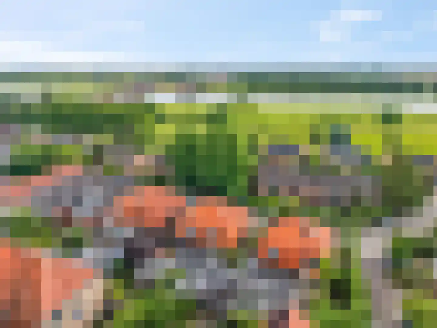Trambaanweg 5 Rhenen thumbnail 33