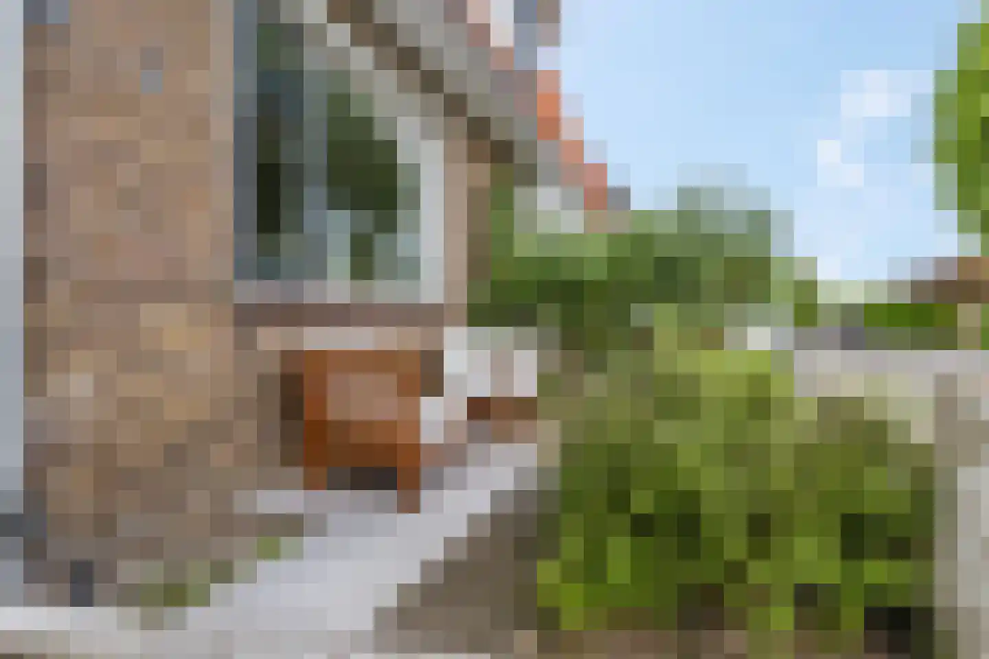 Trambaanweg 5 Rhenen thumbnail 4