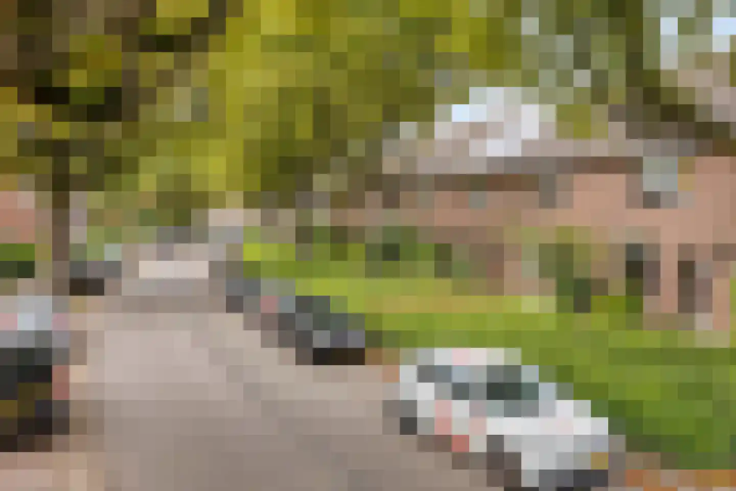 Trambrugweg 18 Helmond thumbnail 9