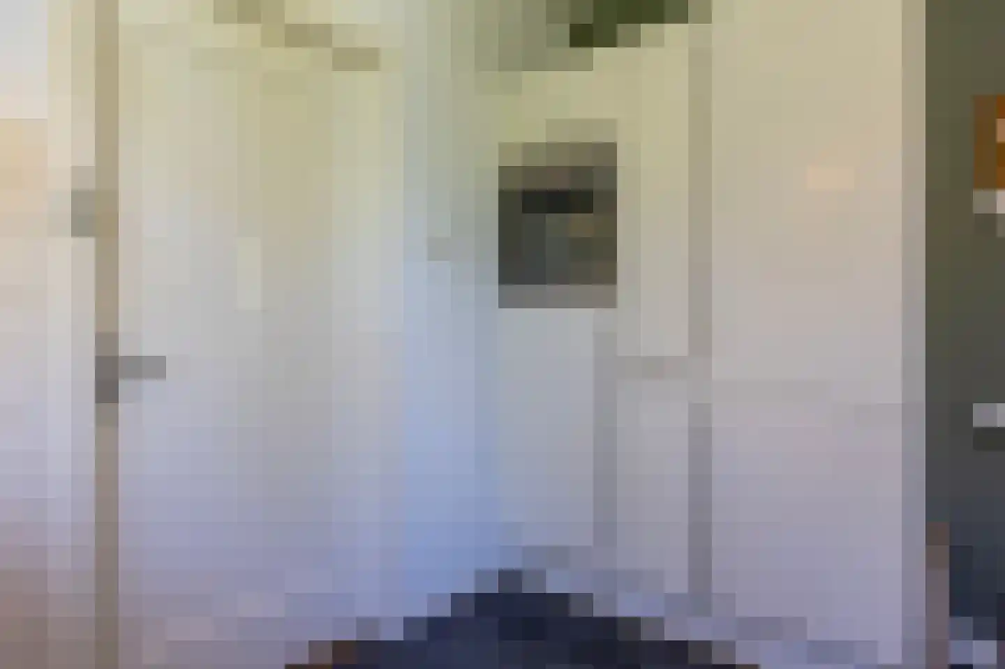 Tramlaan 8 Steenwijk thumbnail 21
