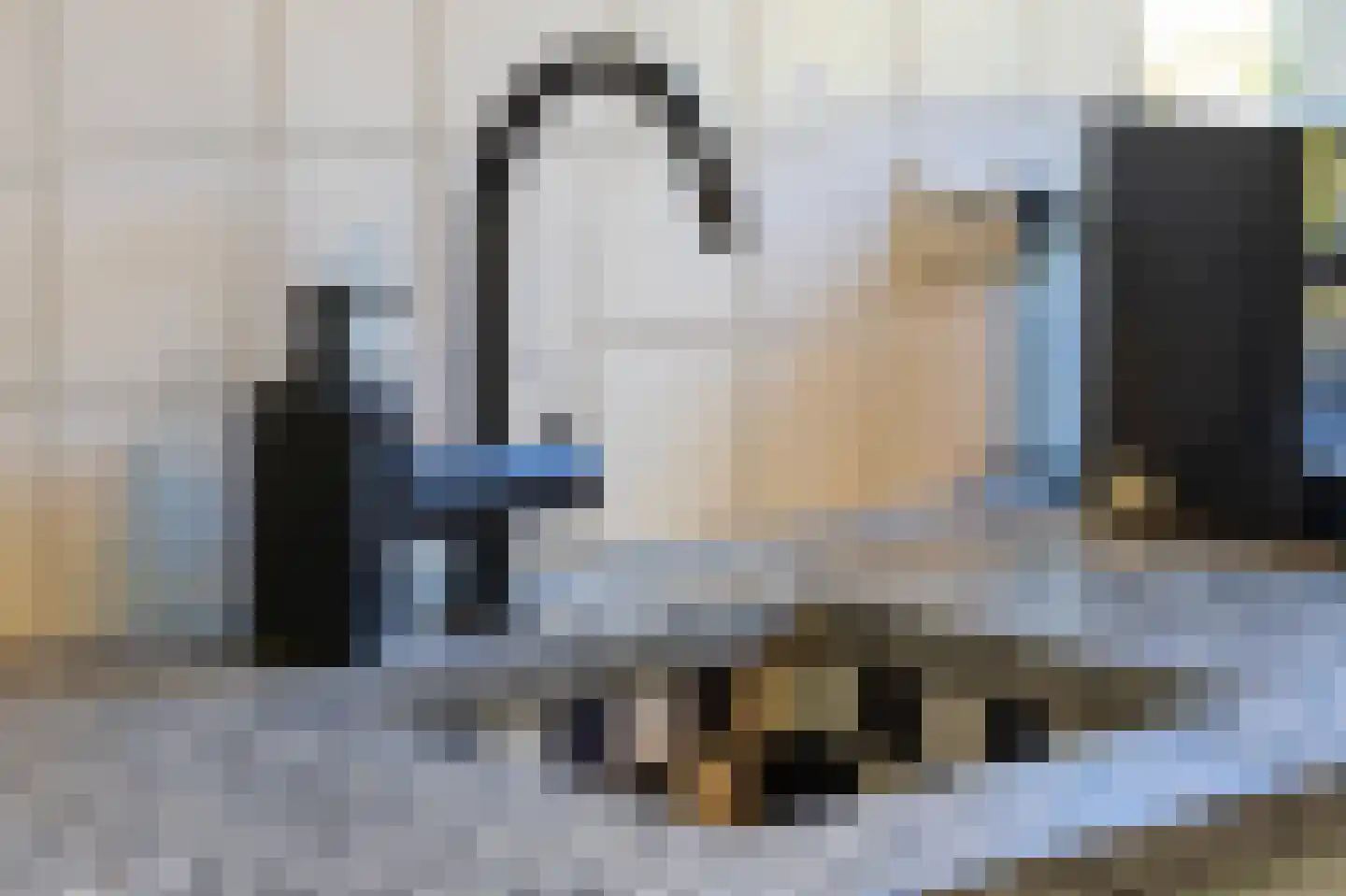 Tramlaan 8 Steenwijk thumbnail 22