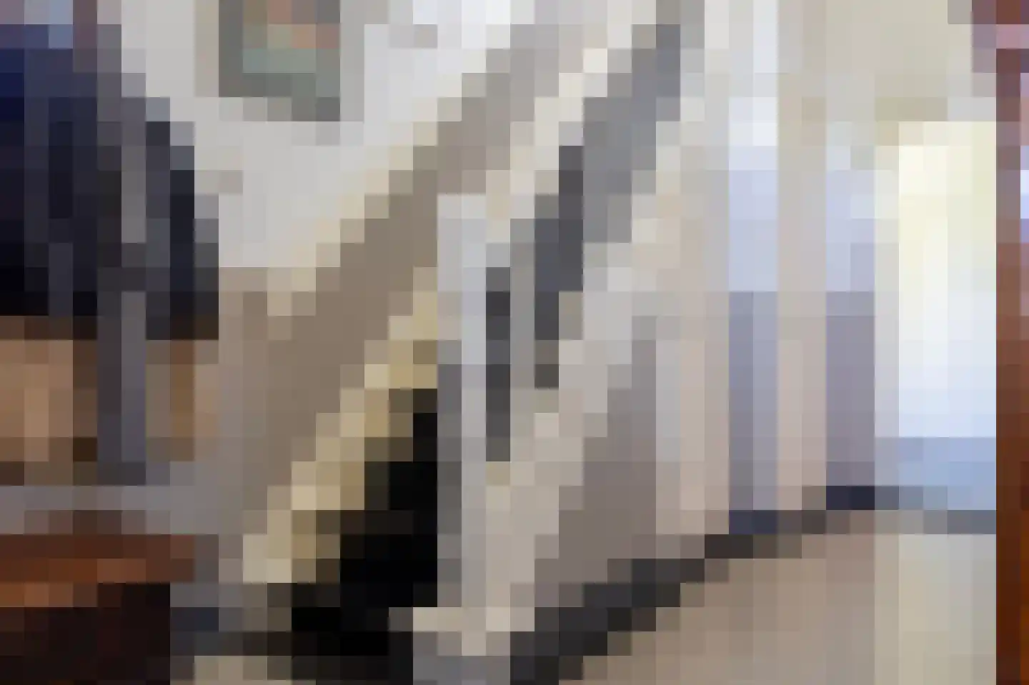 Tramlaan 8 Steenwijk thumbnail 30