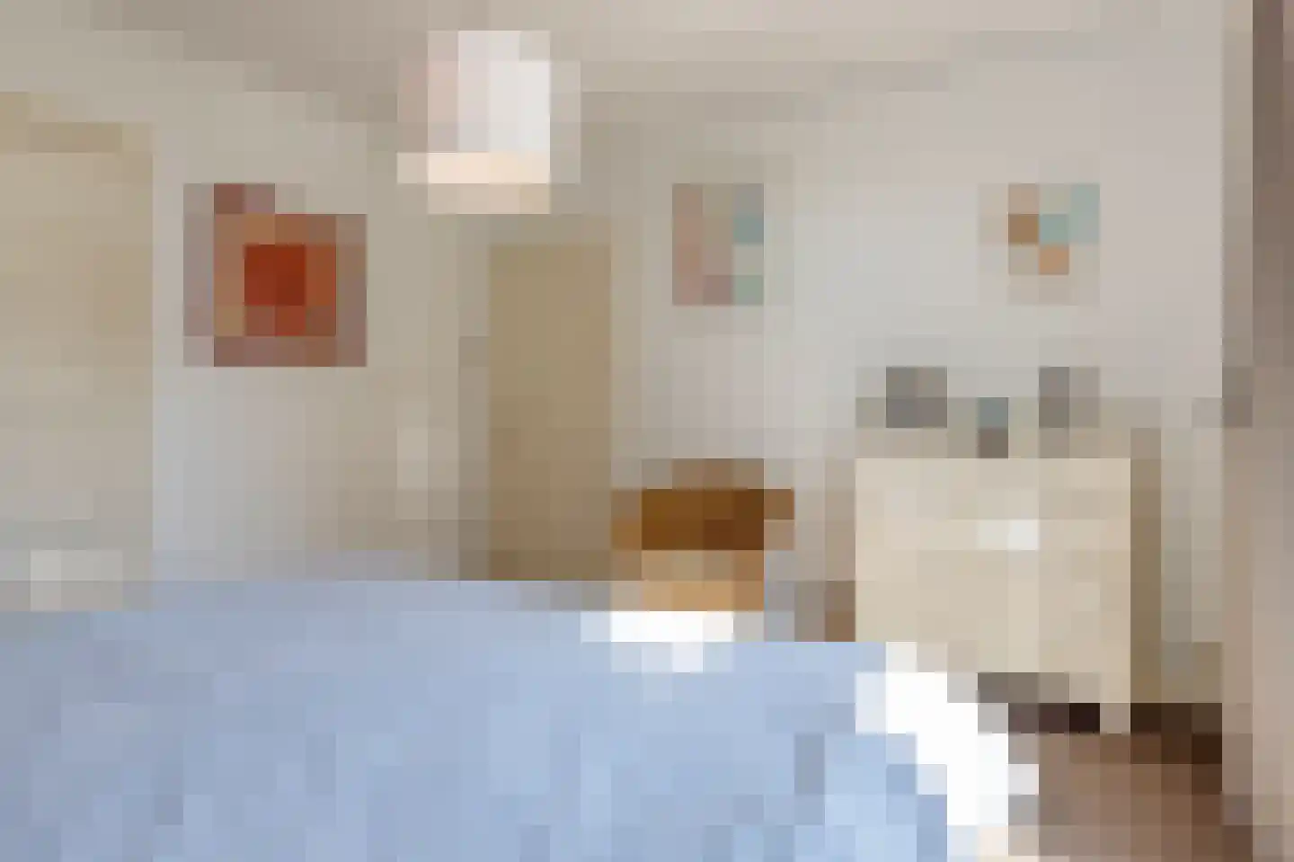 Tramlaan 8 Steenwijk thumbnail 38