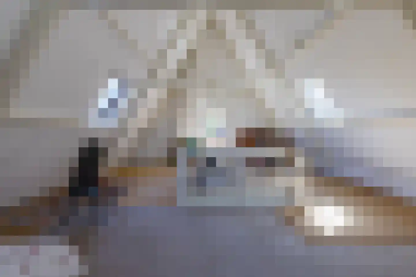 Tramlaan 8 Steenwijk thumbnail 49