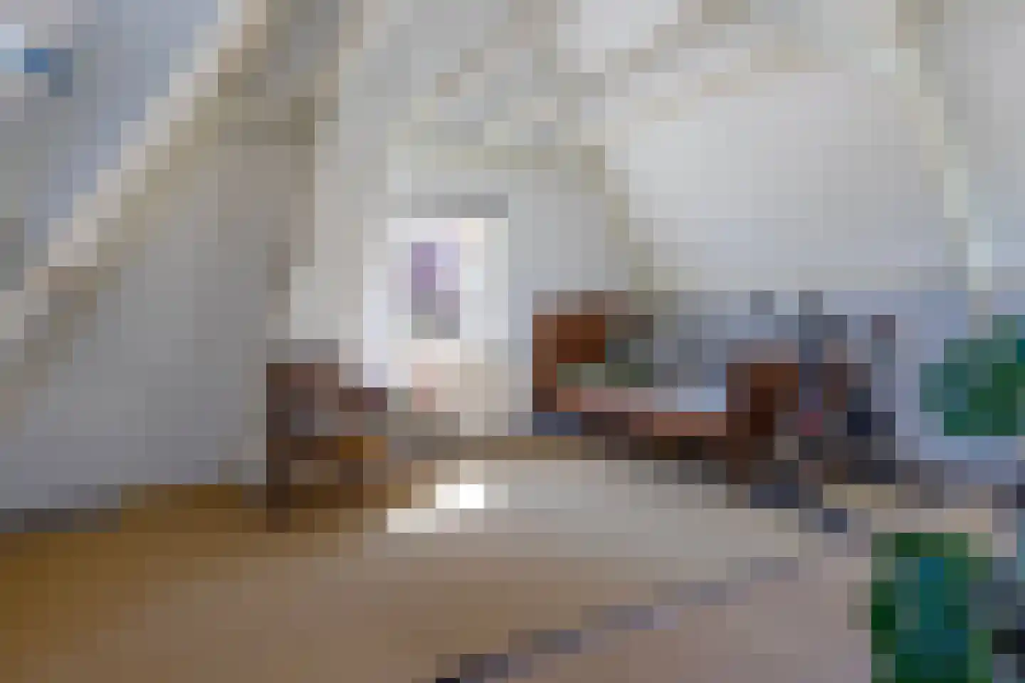 Tramlaan 8 Steenwijk thumbnail 50