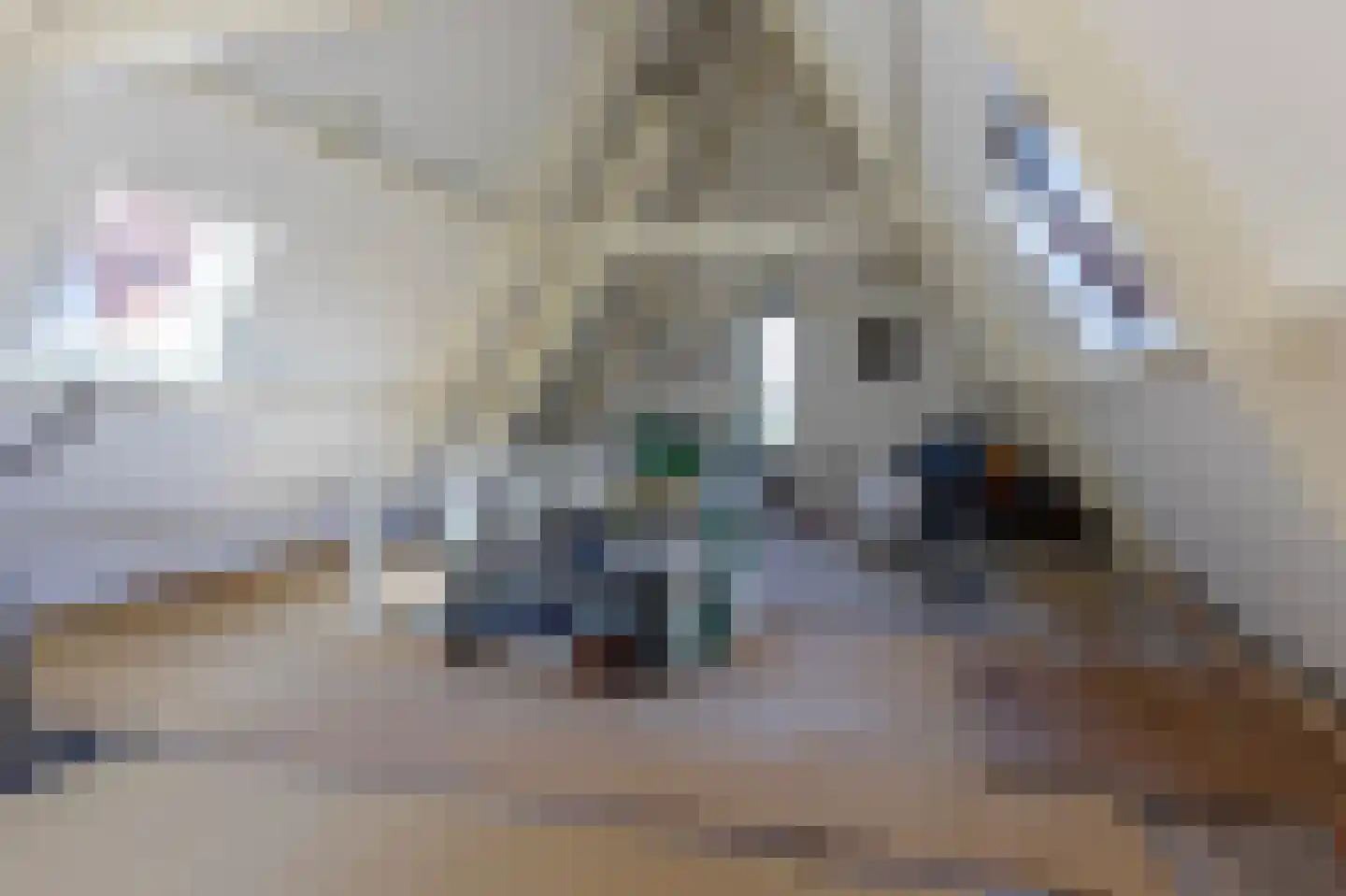 Tramlaan 8 Steenwijk thumbnail 51