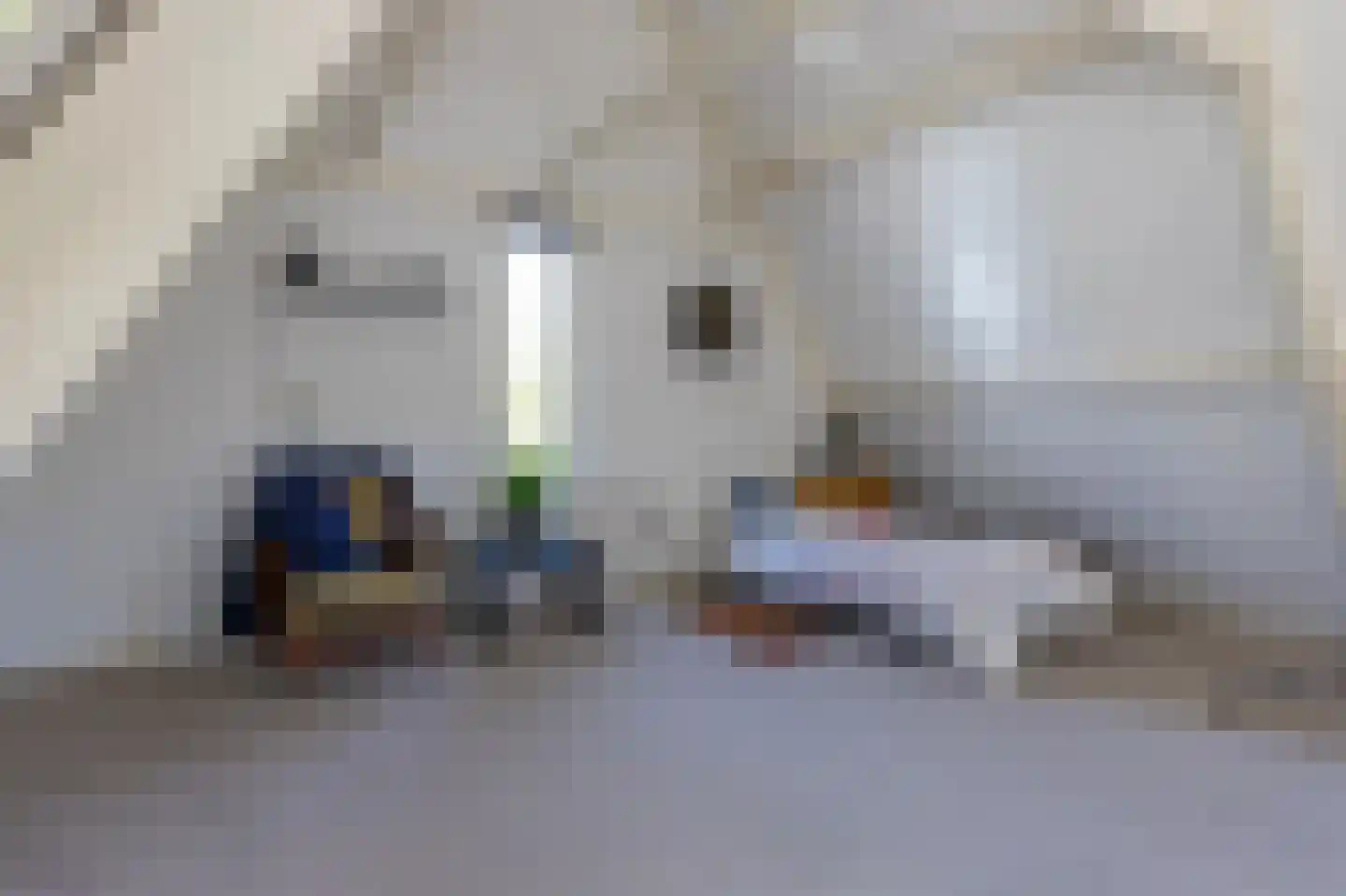 Tramlaan 8 Steenwijk thumbnail 52