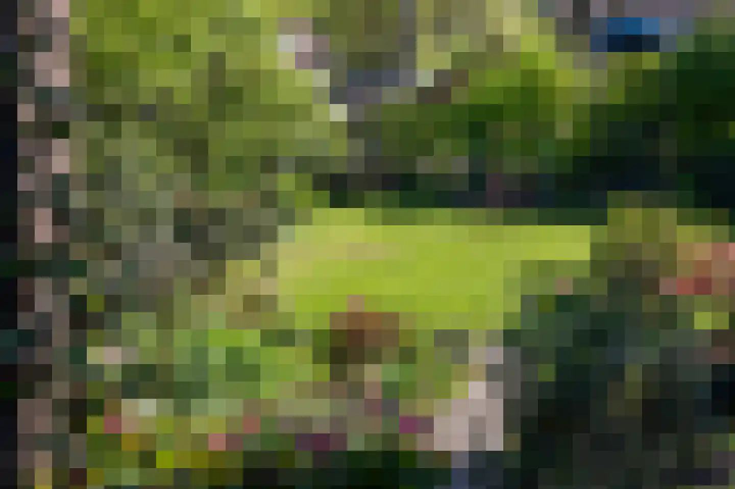 Tramlaan 8 Steenwijk thumbnail 55