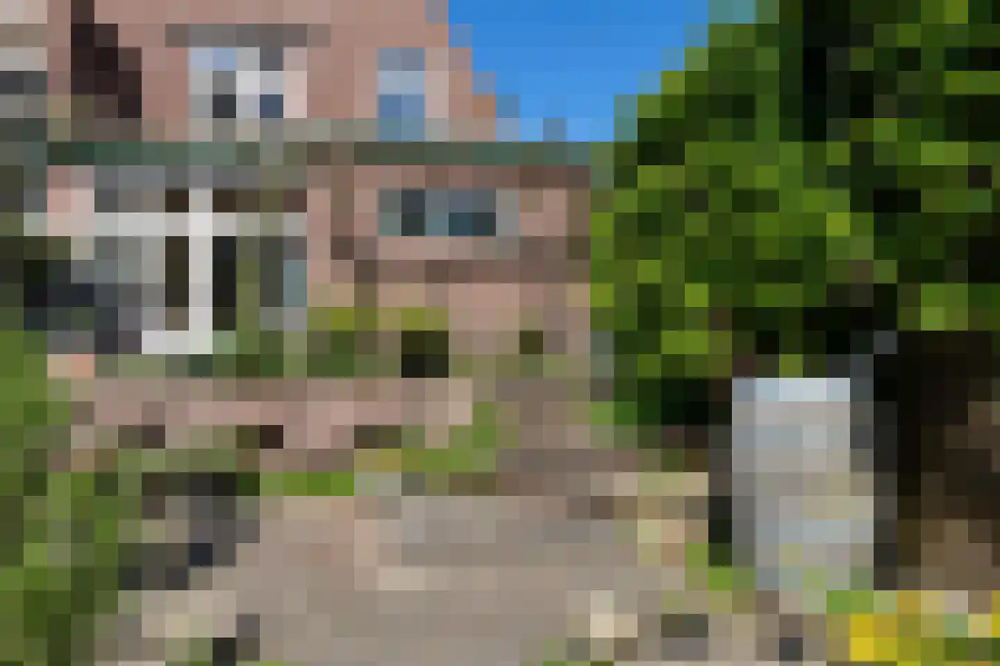 Tramlaan 8 Steenwijk thumbnail 56