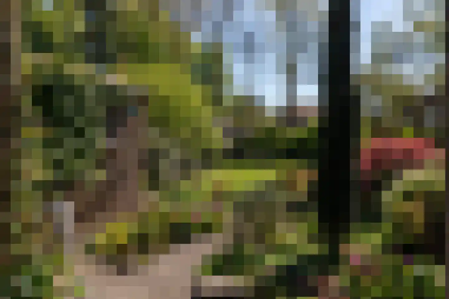 Tramlaan 8 Steenwijk thumbnail 57