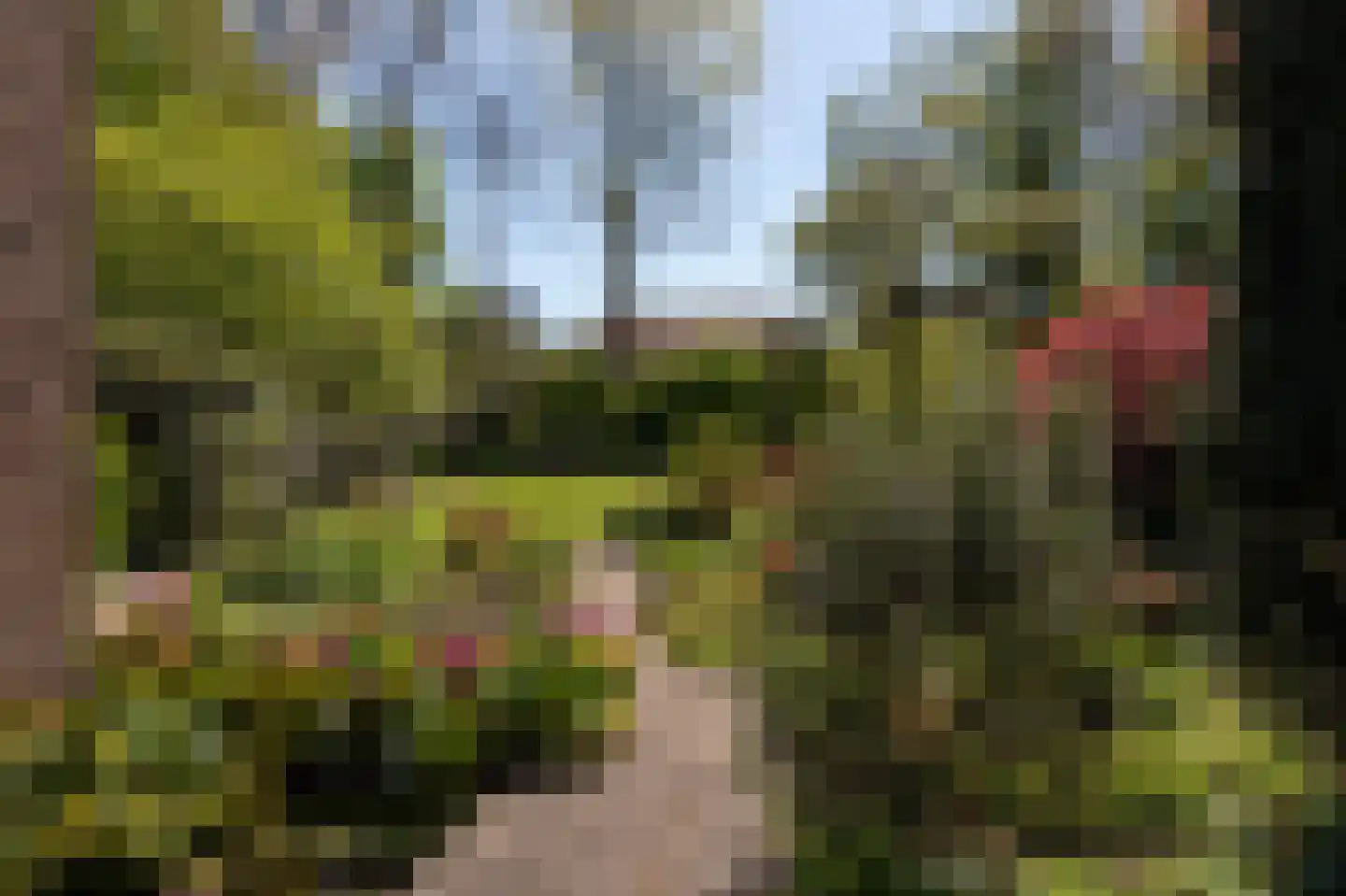 Tramlaan 8 Steenwijk thumbnail 58