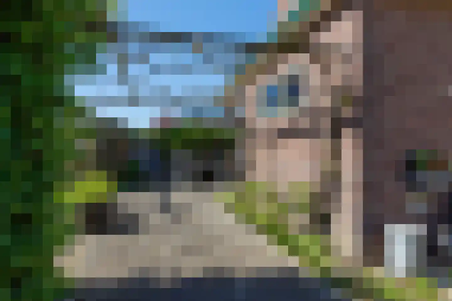 Tramlaan 8 Steenwijk thumbnail 67