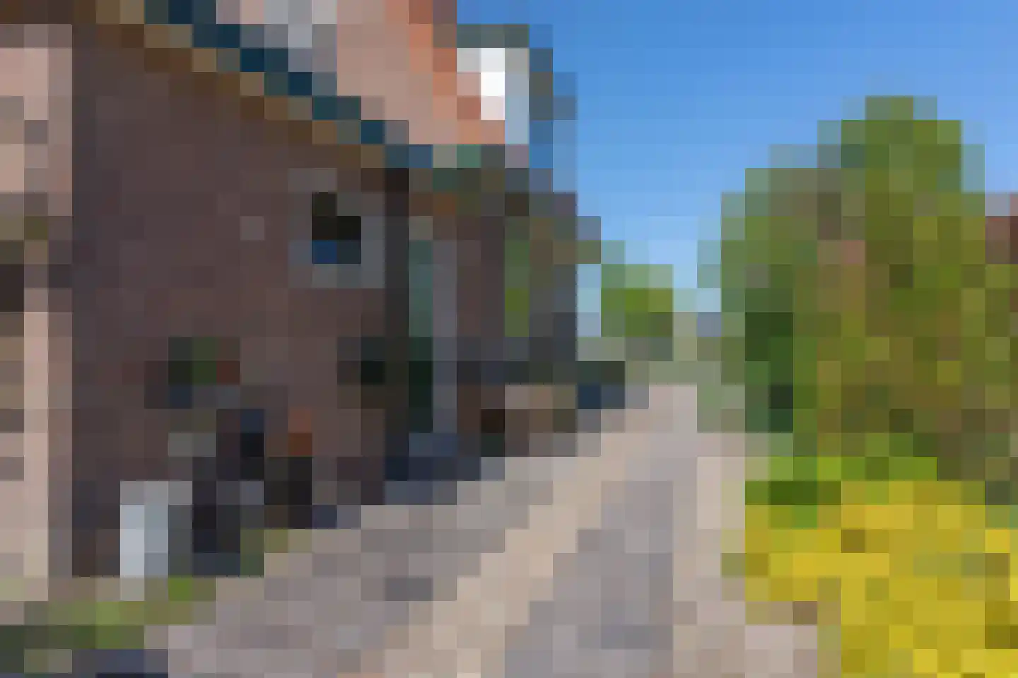 Tramlaan 8 Steenwijk thumbnail 69