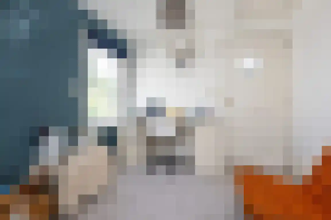 Tramlijnweg 15 Goedereede thumbnail 31