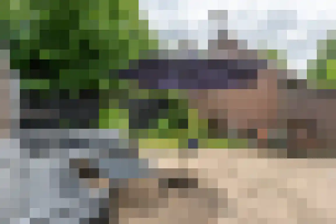 Tramlijnweg 15 Goedereede thumbnail 33