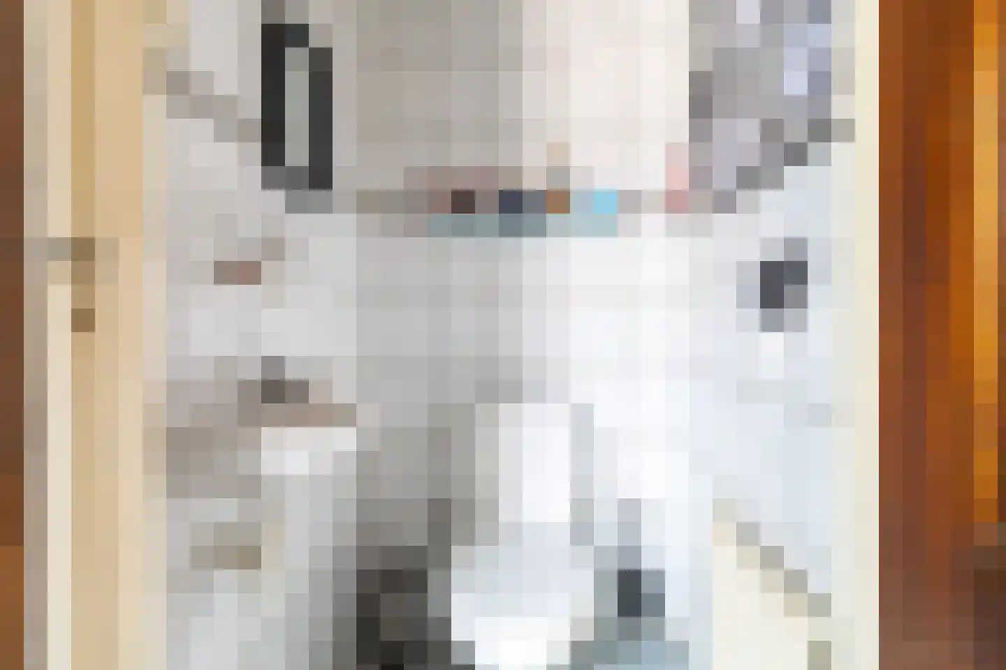 Trampad 6 Sprang-Capelle thumbnail 11