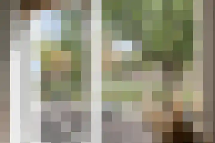 Tramsingel 95 A5 Breda thumbnail 11